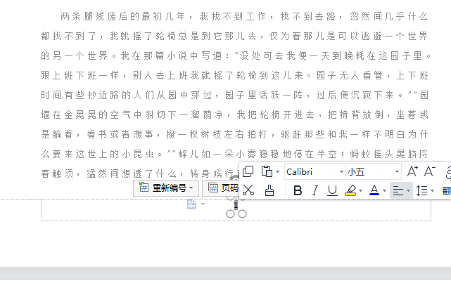 WPS技巧 如何在wps文件中加入页码?