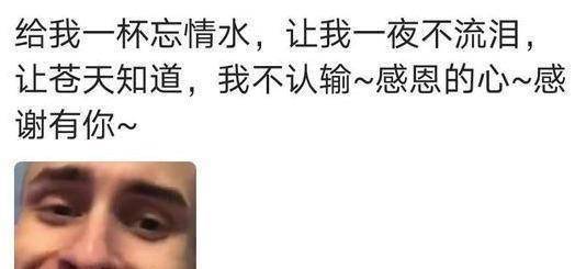 可以无缝衔接的歌词，伤不起真的伤不起，驮着唐三藏跟着仨徒弟
