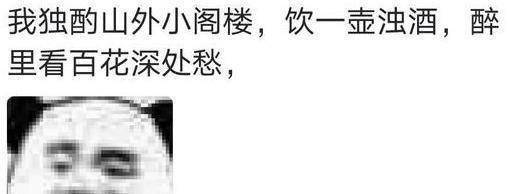 可以无缝衔接的歌词，伤不起真的伤不起，驮着唐三藏跟着仨徒弟