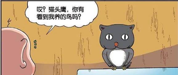 爆笑农场：蚊子庆祝生日“巧克力血”真特别！呆头的鸟和猫合体了