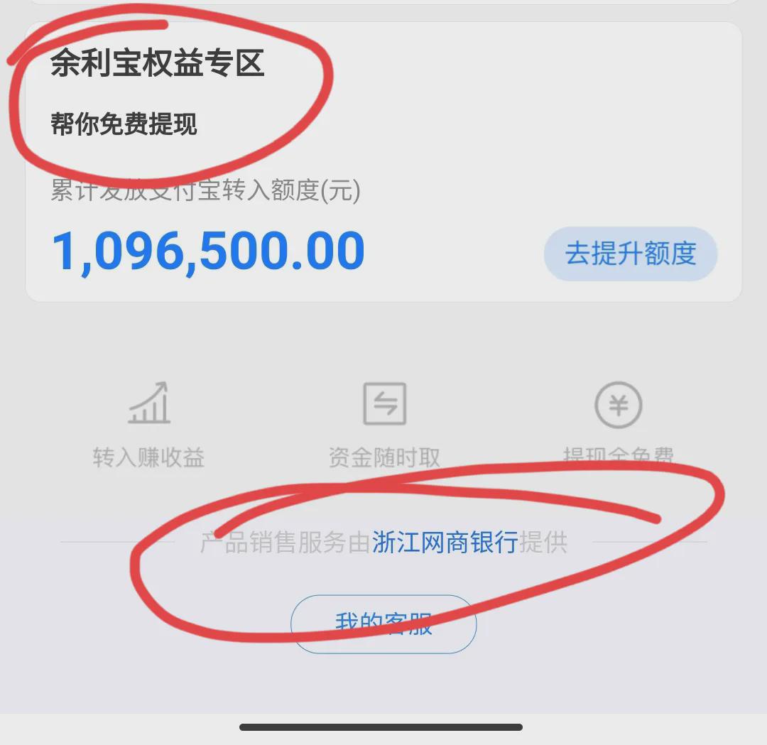 放余利宝好还是余额宝_挪用公款放余额宝_余额宝放10万