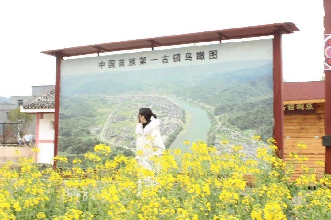 春风起，万物苏丨踏春赏景，就去施洞苗文化旅游景区吧！