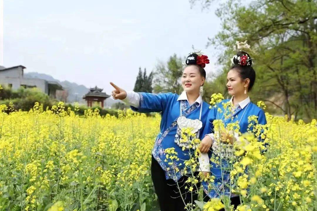 春风起，万物苏丨踏春赏景，就去施洞苗文化旅游景区吧！