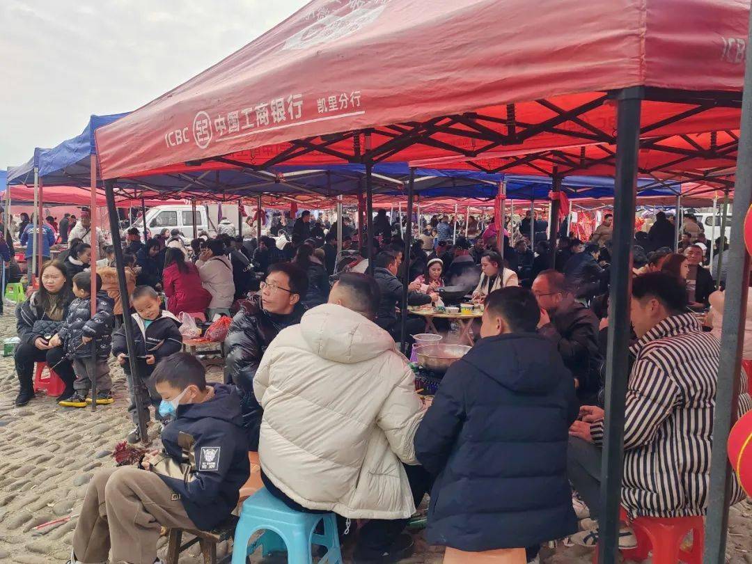 春风起，万物苏丨踏春赏景，就去施洞苗文化旅游景区吧！