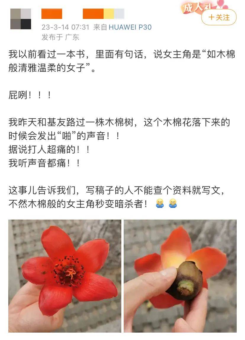 这可能才是广东人的辣椒