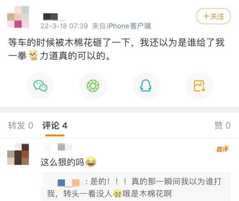 这可能才是广东人的辣椒