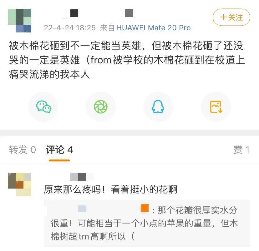 这可能才是广东人的辣椒