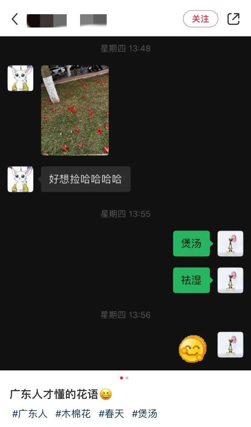 这可能才是广东人的辣椒