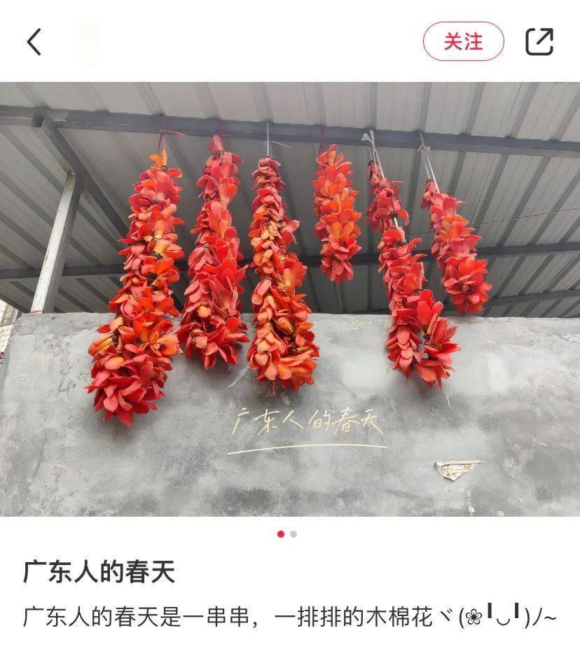 这可能才是广东人的辣椒