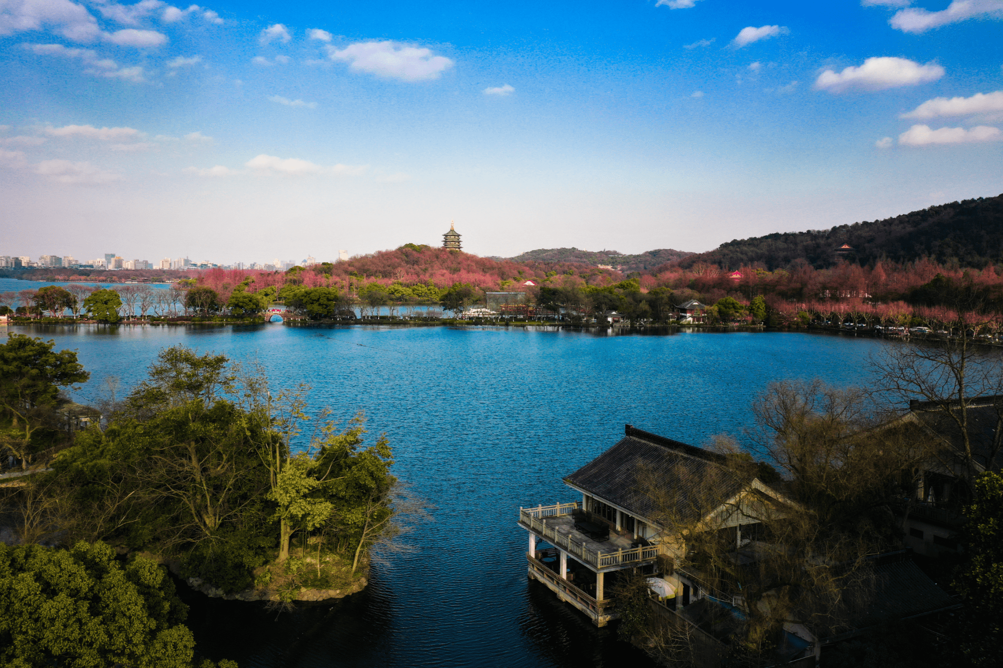 【春日里的中国】杭州春韵应如是 西湖觅影满陇茶