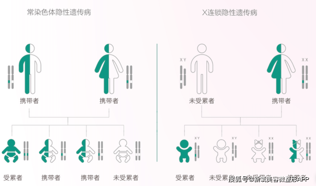 婚检的必要性：或许婚姻破碎的种子就曾隐藏在婚检单里！