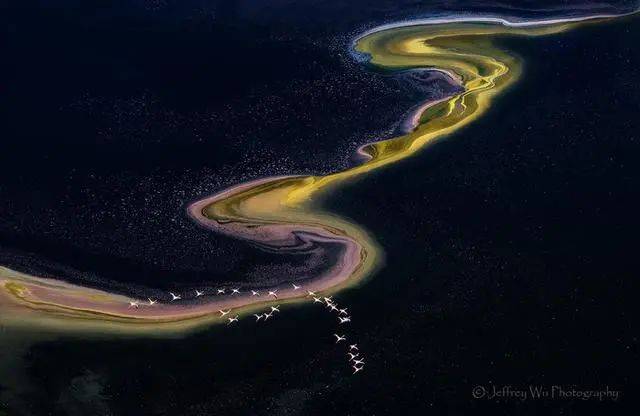 万年冥湖纳特龙湖探秘｜百万火烈鸟奔袭｜坦桑尼亚旅游攻略｜摄影必备
