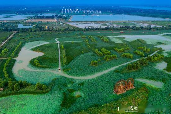 权威发布 | 4月22日，来体验黄河岸畔“最美赛道”绿色低碳“高马”