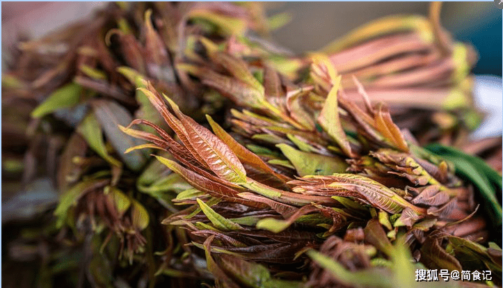 致癌毁肝肾！春天，这4种“黑榜”蔬菜要少吃，健康问题，要重视