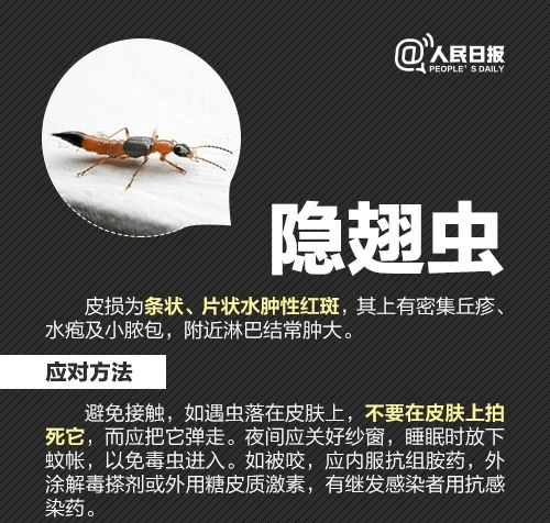 广东人注意！近期少穿这两种颜色衣服出门