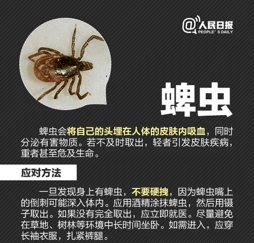 广东人注意！近期少穿这两种颜色衣服出门