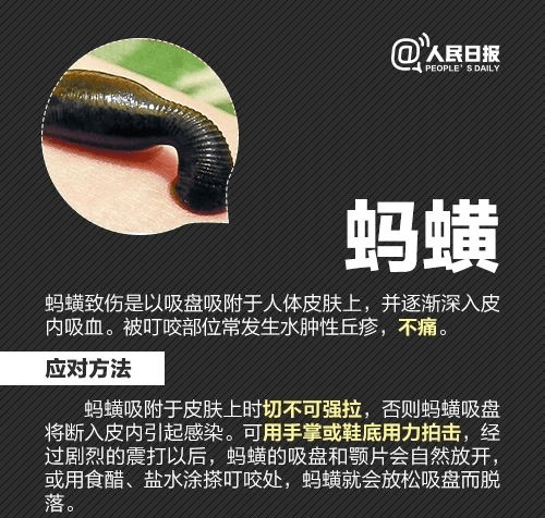 广东人注意！近期少穿这两种颜色衣服出门