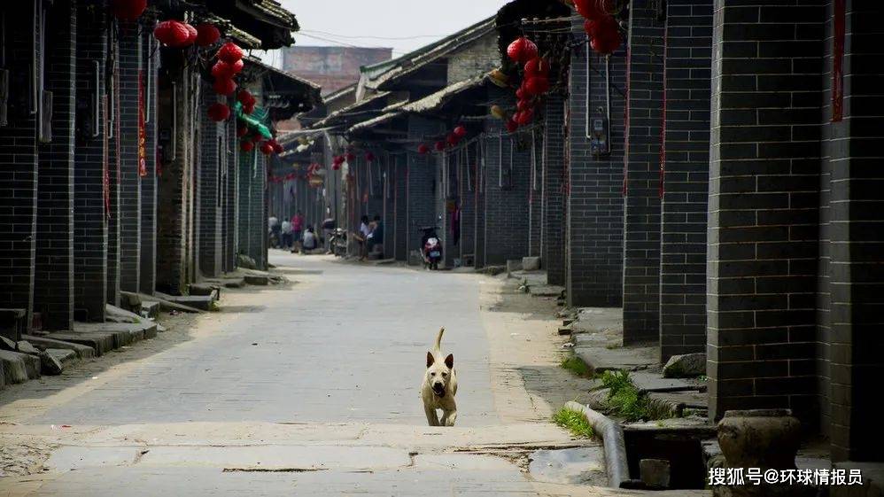 中国最燃的民俗节庆，为何诞生在广西宾阳？