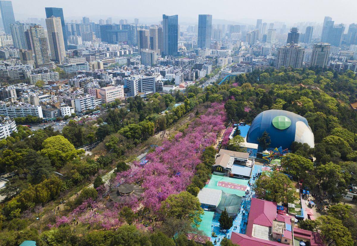 彩云之南四季如春的省会昆明-东寺街，西寺巷，茅斯拐拐小楼上