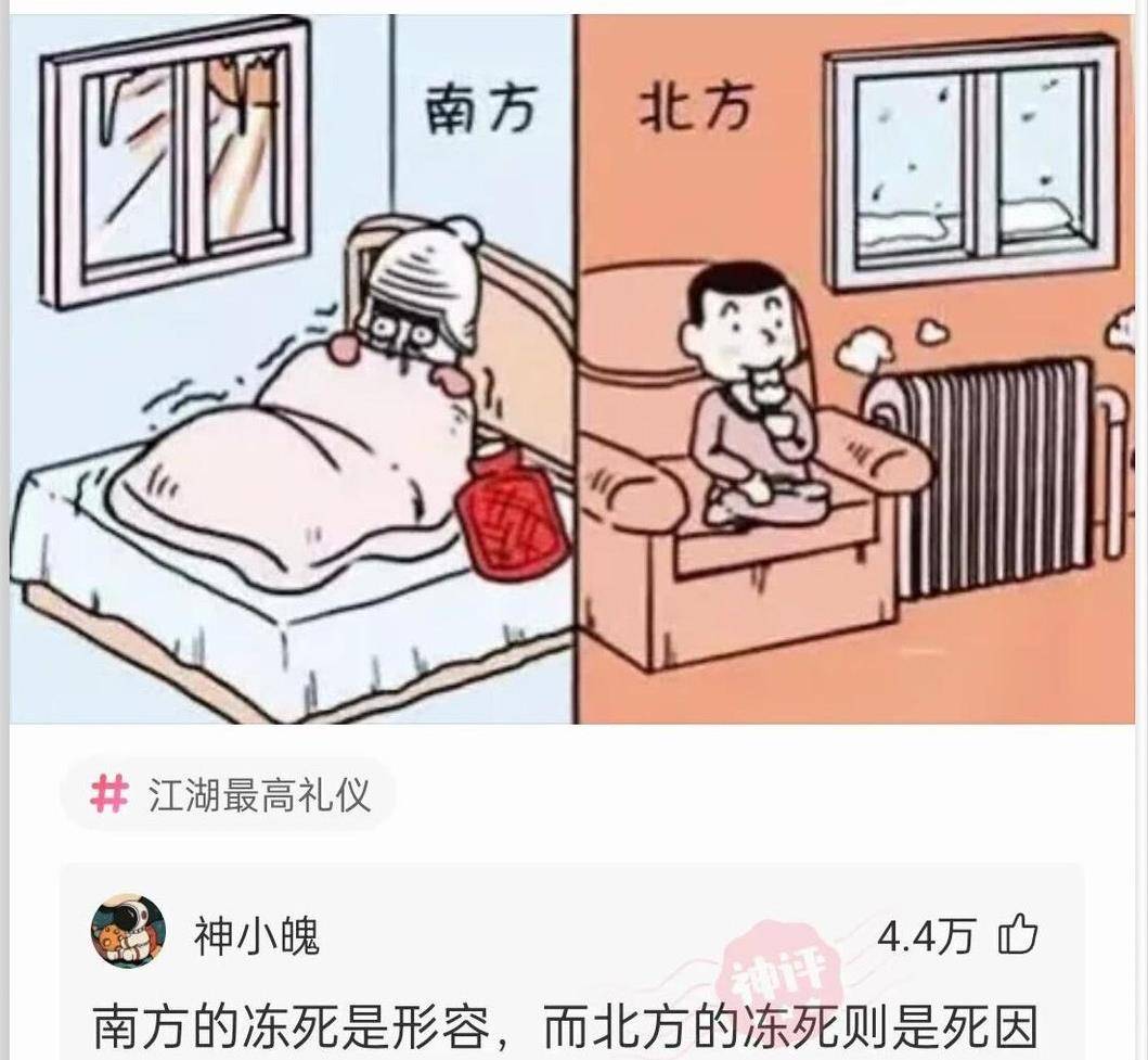 爆笑神回复：兄弟姐妹们，到底是南方冷还是北方冷？