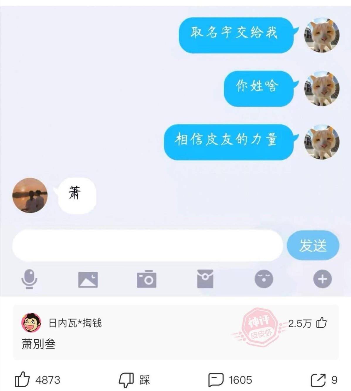 爆笑神回复：兄弟姐妹们，到底是南方冷还是北方冷？