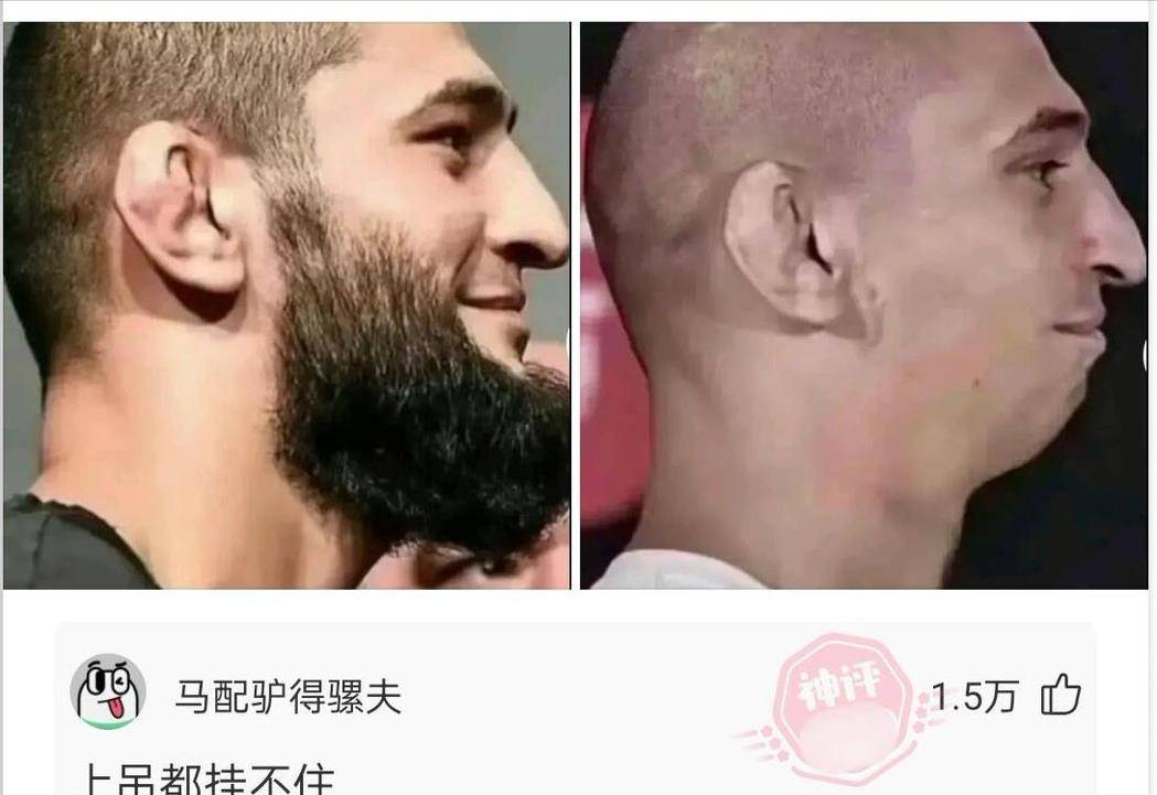 爆笑神回复：兄弟姐妹们，到底是南方冷还是北方冷？
