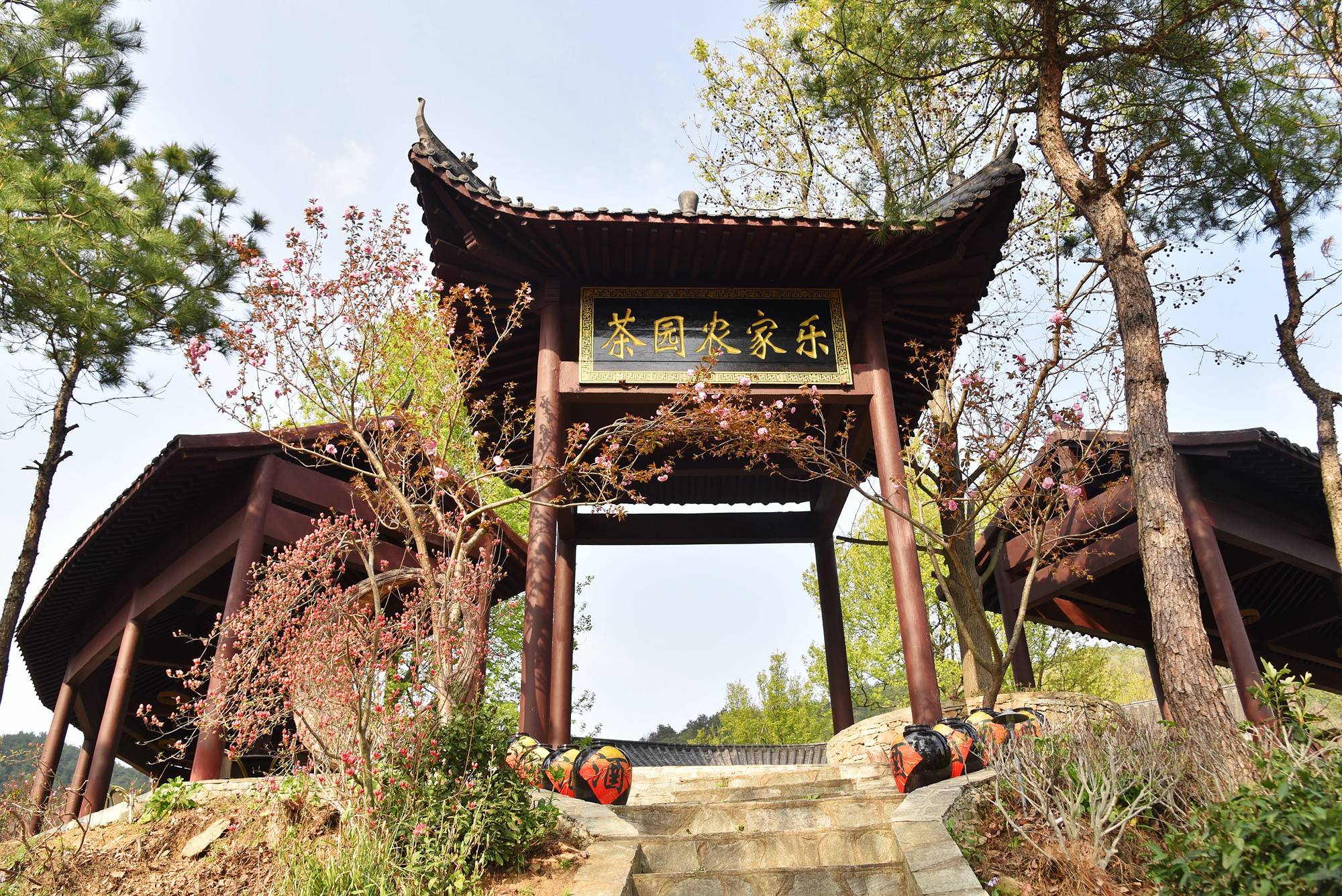 品乡土美食，住精品民宿，花海打卡拍美照，武汉春天这样玩就对了