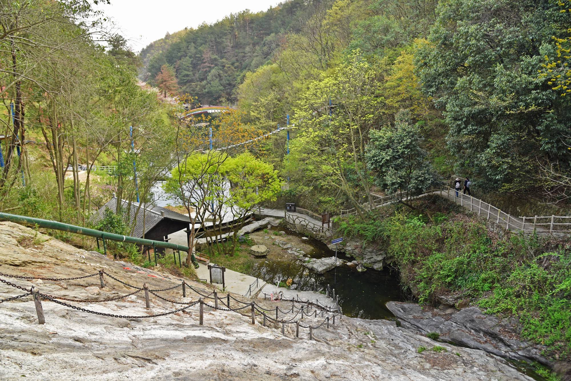 品乡土美食，住精品民宿，花海打卡拍美照，武汉春天这样玩就对了