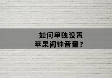 如何单独设置苹果闹钟音量？