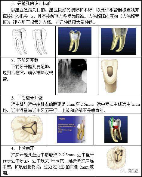 尖有湿疹是什么病_尖有_尖有湿疹会传染吗