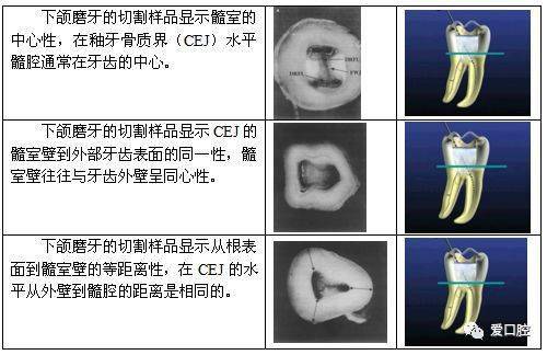 尖有_尖有湿疹会传染吗_尖有湿疹是什么病