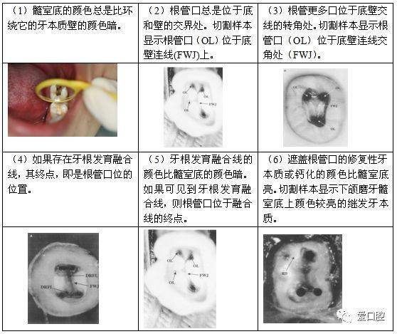 尖有湿疹会传染吗_尖有湿疹是什么病_尖有