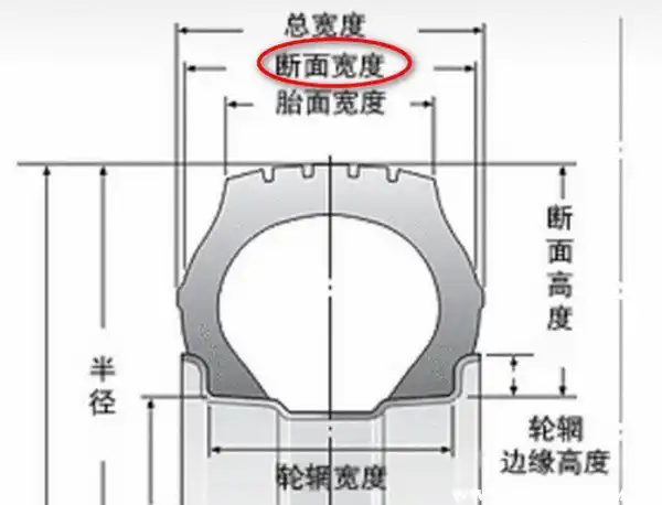 轮胎规格看哪些参数_轮胎规格怎么看_轮胎规格看是不是半热熔胎