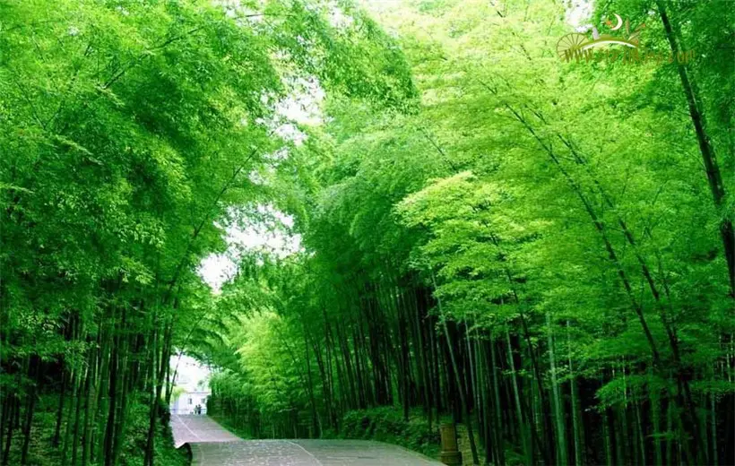 洛阳旅游年票包含景点_重庆旅游景点_柬埔寨旅游攻略景点必去哪里旅游