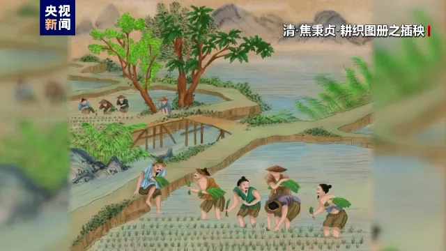 立夏吃蛋_立夏_立夏养生