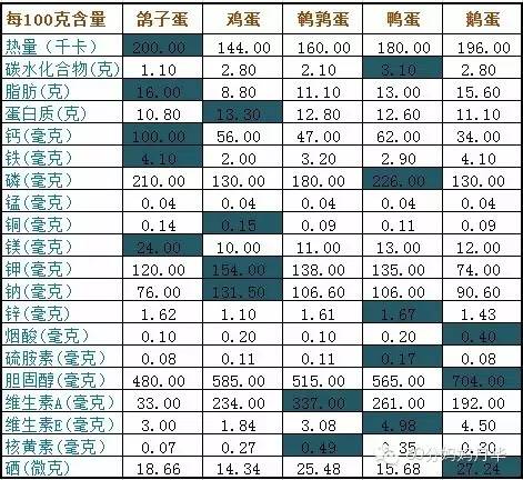 鸽子顺边雄是头蛋二蛋那个好_灰鸽子和白鸽子营养_鸽子蛋的营养