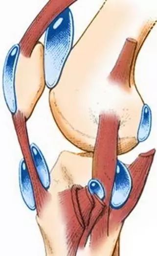 避免退化性关节炎，先救韧带和肌肉