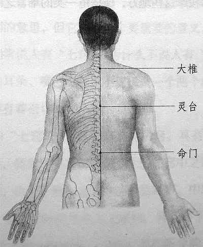 《老中医》的背后