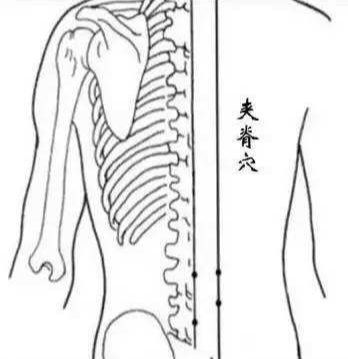 《老中医》的背后