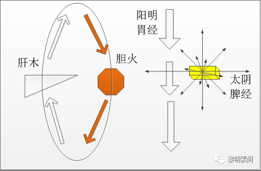 怎样给自己看病（5）治本