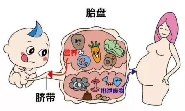 艾灸神阙穴（肚脐）可以起死回生！应作为急救要穴