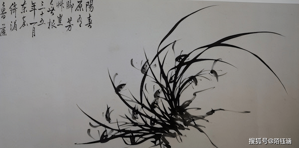 鲁藻：兰花画家的坚韧与传世之美