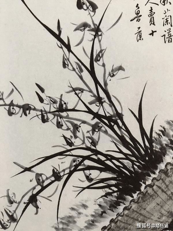 鲁藻：兰花画家的坚韧与传世之美