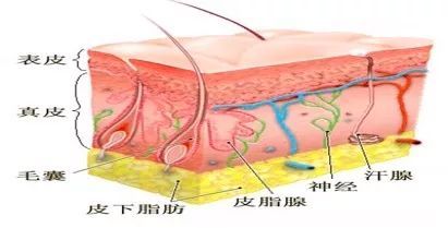 浮针的禁忌症和注意事项