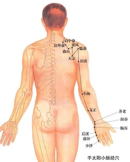 穴时，由外膝眼向下量4横指