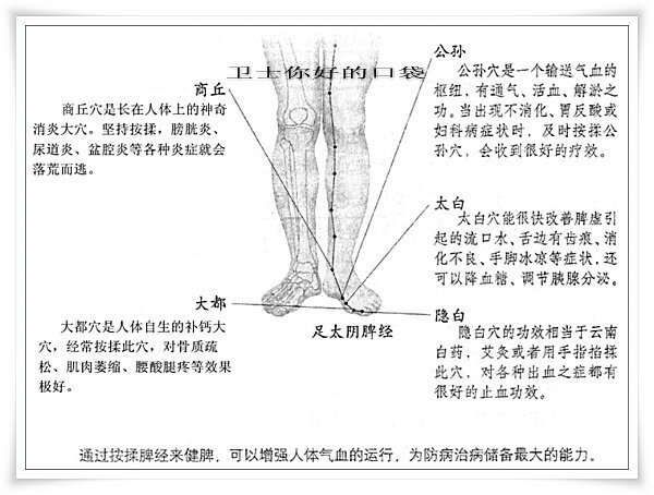 肝经、脾经、肾经、胃经上的几个重要穴位的位置与功能