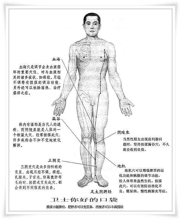 肝经、脾经、肾经、胃经上的几个重要穴位的位置与功能