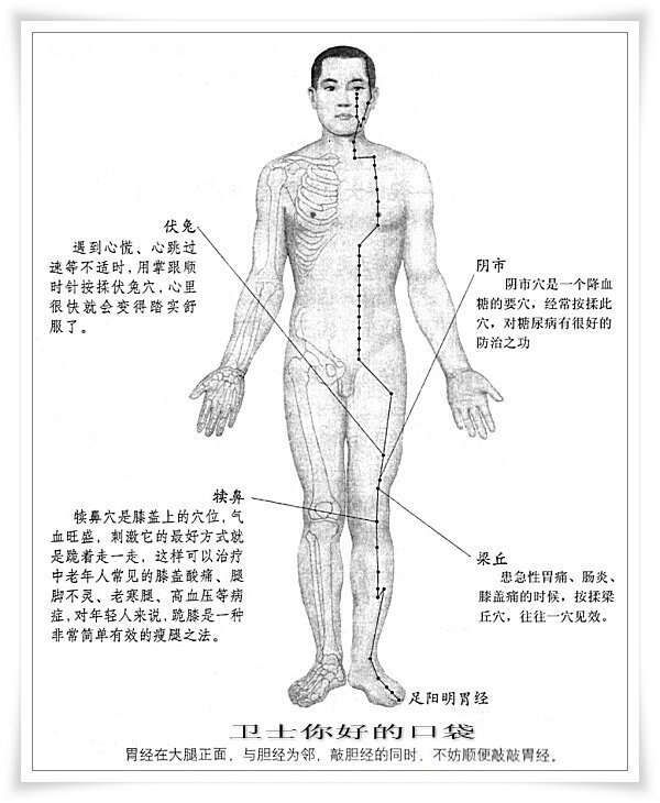 肝经、脾经、肾经、胃经上的几个重要穴位的位置与功能