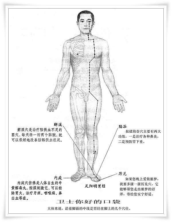 肝经、脾经、肾经、胃经上的几个重要穴位的位置与功能