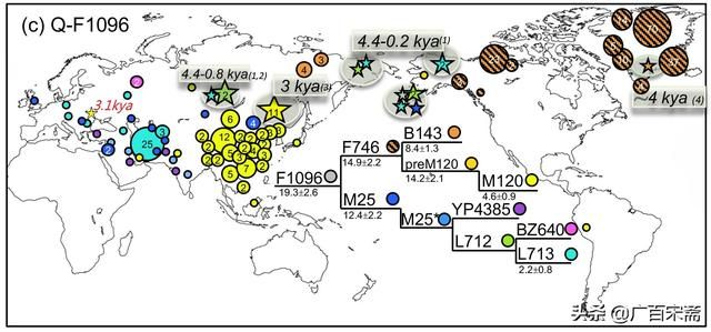 而上述国家和地区广泛分布拥有M120的人们这一事实，再次充分证明我的华夏文明起源和迁